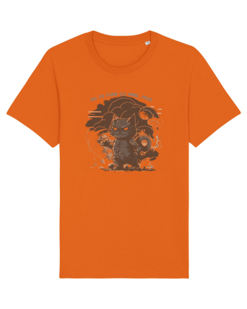NU TE PUNE CU MINE, PISOI 1 :D Bright Orange