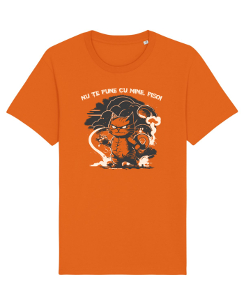 NU TE PUNE CU MINE, PISOI 2 :D Bright Orange