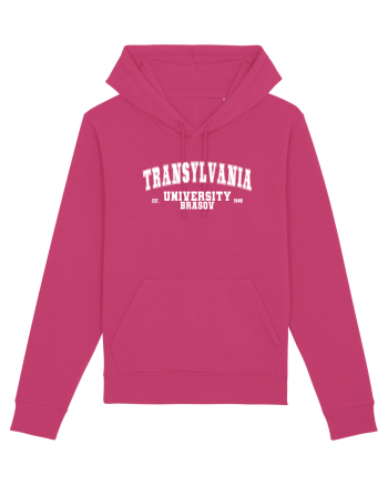 Transylvania University Brasov EST 1948 Raspberry