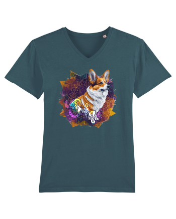 corgi fanatic Stargazer