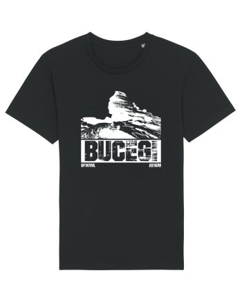 Călător în România - Sfinxul din Bucegi Black