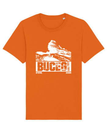 Călător în România - Sfinxul din Bucegi Bright Orange