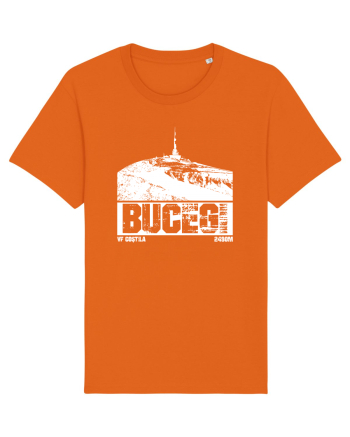 Călător în România - Vf Coștila din Bucegi Bright Orange