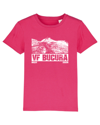 Călător în România - Vf Bucura din Bucegi Raspberry