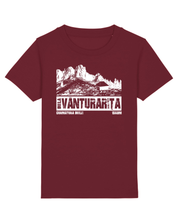 Călător în România - Curmătura Builei Burgundy