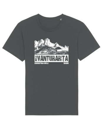 Călător în România - Curmătura Builei Anthracite