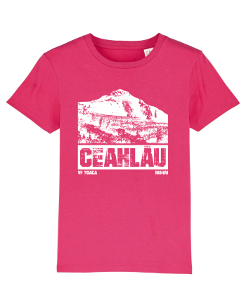 Călător în România - Ceahlau Raspberry