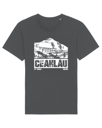Călător în România - Ceahlau Anthracite