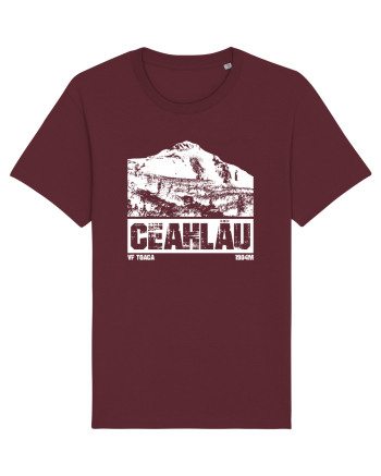 Călător în România - Ceahlau Burgundy