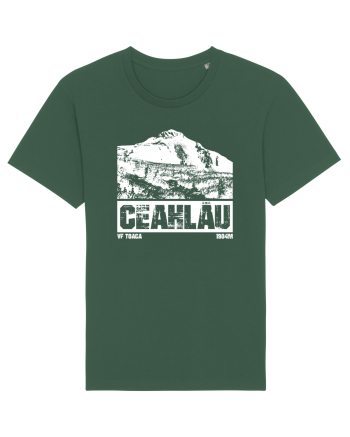 Călător în România - Ceahlau Bottle Green