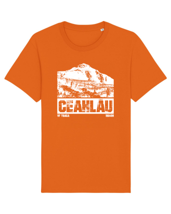 Călător în România - Ceahlau Bright Orange