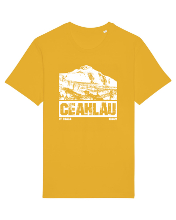 Călător în România - Ceahlau Spectra Yellow