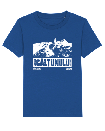 Călător în România - Cornul Calțunului Majorelle Blue