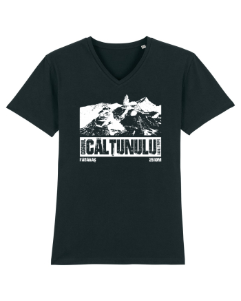 Călător în România - Cornul Calțunului Black