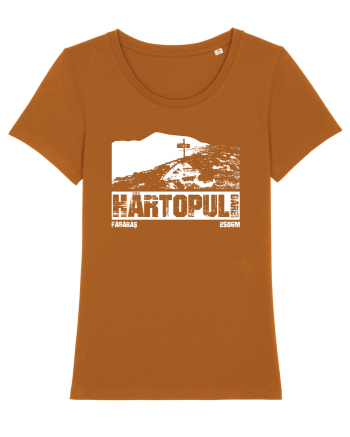 Călător în România - Vf Hârtopul Darei Roasted Orange