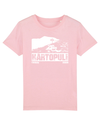 Călător în România - Vf Hârtopul Darei Cotton Pink