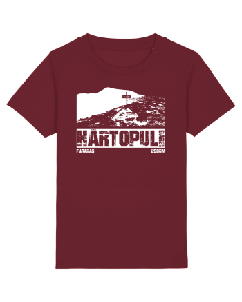 Călător în România - Vf Hârtopul Darei Burgundy