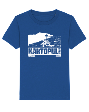 Călător în România - Vf Hârtopul Darei Majorelle Blue
