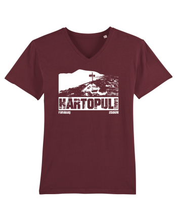 Călător în România - Vf Hârtopul Darei Burgundy