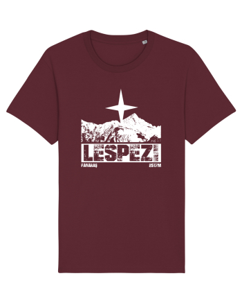 Călător în România - Vf Lespezi Burgundy