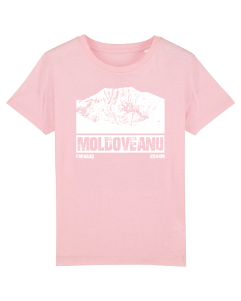 Călător în România - Vf Moldoveanu Cotton Pink