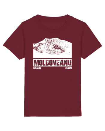 Călător în România - Vf Moldoveanu Burgundy