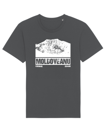Călător în România - Vf Moldoveanu Anthracite