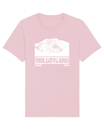 Călător în România - Vf Moldoveanu Cotton Pink