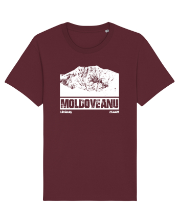 Călător în România - Vf Moldoveanu Burgundy