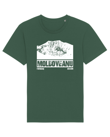 Călător în România - Vf Moldoveanu Bottle Green