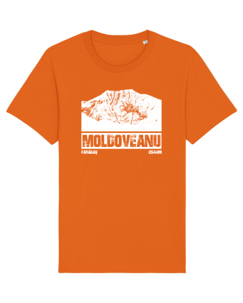 Călător în România - Vf Moldoveanu Bright Orange