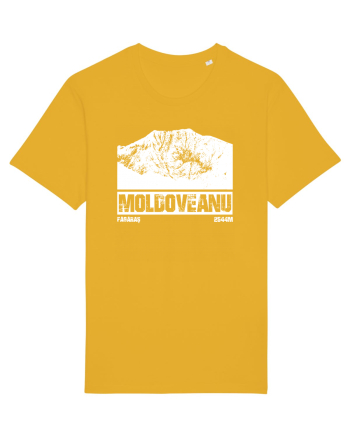Călător în România - Vf Moldoveanu Spectra Yellow