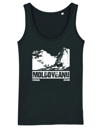 Călător în România - Moldoveanu prin Valea Rea Black