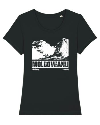 Călător în România - Moldoveanu prin Valea Rea Black