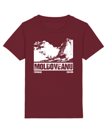 Călător în România - Moldoveanu prin Valea Rea Burgundy