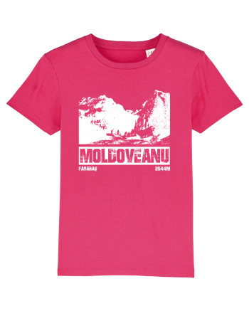 Călător în România - Moldoveanu prin Valea Rea Raspberry