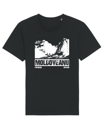 Călător în România - Moldoveanu prin Valea Rea Black
