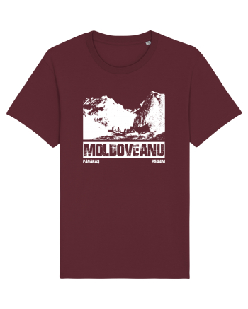 Călător în România - Moldoveanu prin Valea Rea Burgundy