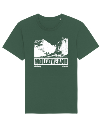 Călător în România - Moldoveanu prin Valea Rea Bottle Green