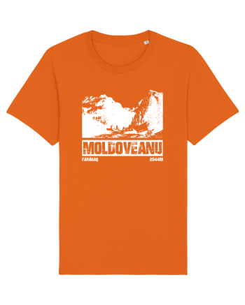 Călător în România - Moldoveanu prin Valea Rea Bright Orange
