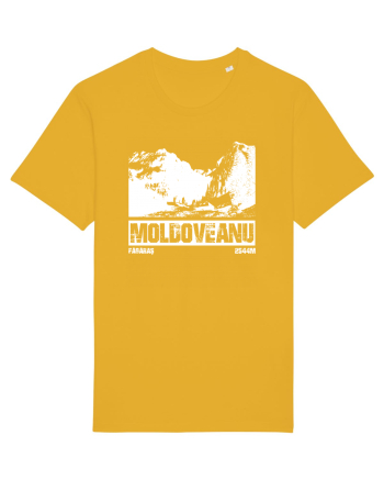 Călător în România - Moldoveanu prin Valea Rea Spectra Yellow