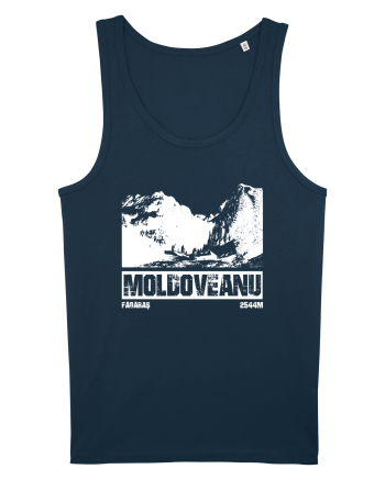 Călător în România - Moldoveanu prin Valea Rea Navy