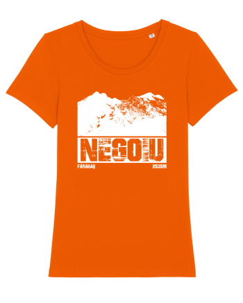 Călător în România - Vf Negoiu Bright Orange