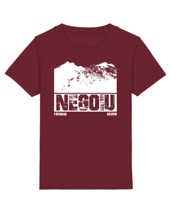Călător în România - Vf Negoiu Burgundy
