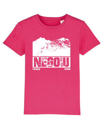 Călător în România - Vf Negoiu Raspberry
