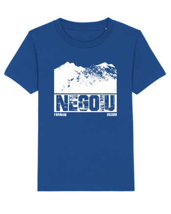 Călător în România - Vf Negoiu Majorelle Blue
