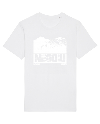 Călător în România - Vf Negoiu White