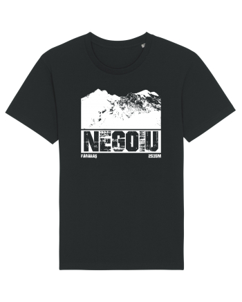 Călător în România - Vf Negoiu Black