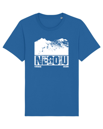 Călător în România - Vf Negoiu Royal Blue