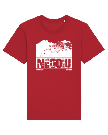 Călător în România - Vf Negoiu Red